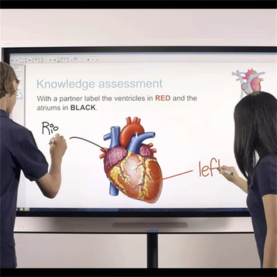comprare 75 pollici LCD Interattivo Smart Board Touch Digital Whiteboards Interattivo Monitor Display Screen online manufacture