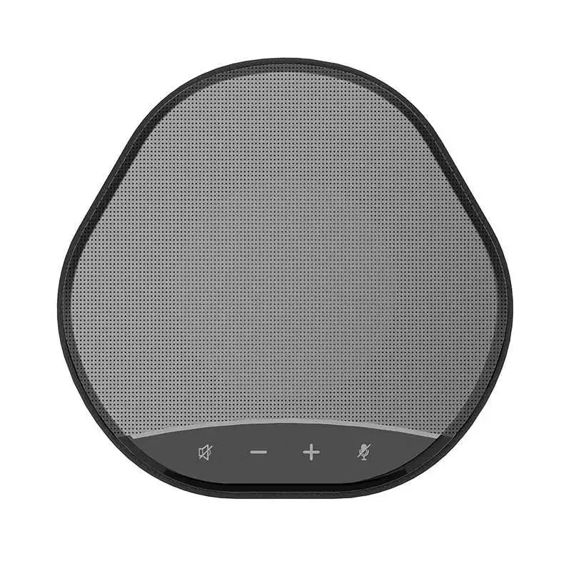 Directional Microphone