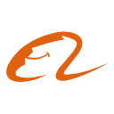Alibaba Payment