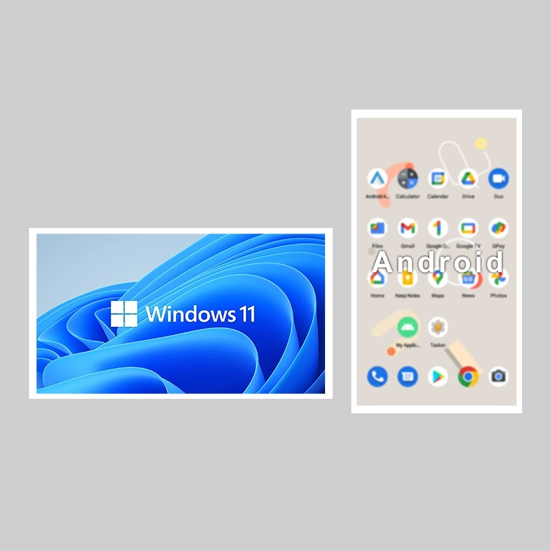 Qtenboard digital signage Android / Windows